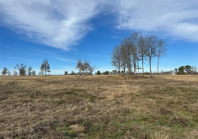 Land for sale at 0000 County Road 2425, Como, TX 75431 | MLS# 21350814 | Listing updated on 2026-09-02