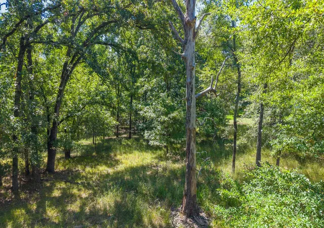 15th image of Tbd 3401, Emory, TX 75440 | MLS# 21349680