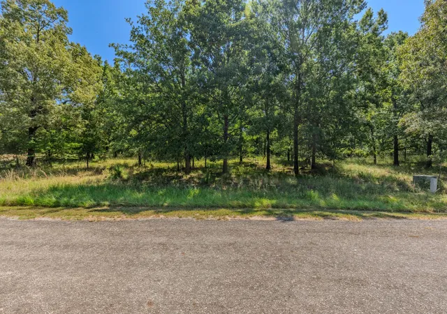 Photo 3 of Land for sale at Tbd 3401, Emory, TX 75440 | MLS# 21349680 | Listing updated on 2026-08-05