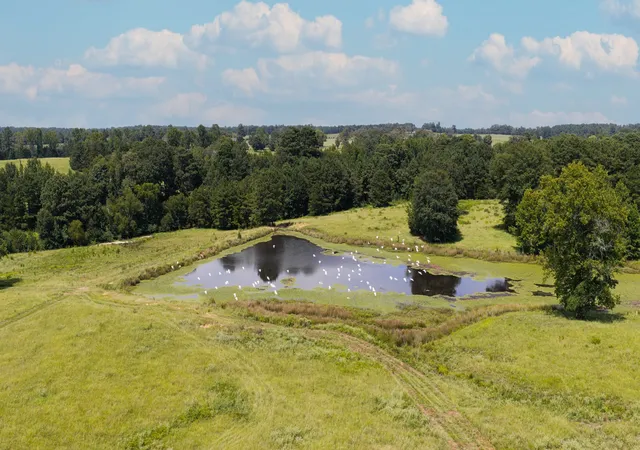 Photo 2 of Land for sale at 2111 County Road 4335, Bivins, TX 75555 | MLS# 21350526 | Listing updated on 2026-08-10