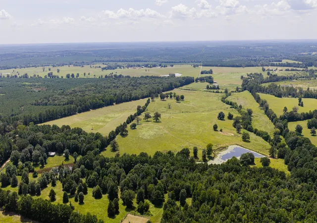 Photo 3 of House for sale at 2111 County Road 4335, Bivins, TX 75555 | MLS# 21350526 | Listing updated on 2026-08-10