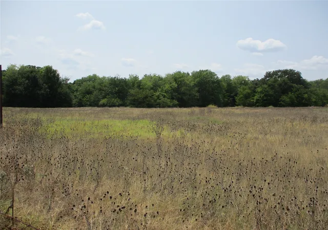 2nd image of Tbd Fm 47, Point, TX 75472 | MLS# 21351046