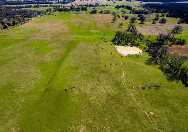 Photo 1 of Land for sale at Tbd Tract B Flag Lake Rd, Kemp, TX 75143 | MLS# 21351023 | Listing updated on 2026-08-06