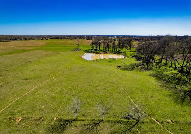 Photo 2 of Land for sale at Tbd Tract B Flag Lake Rd, Kemp, TX 75143 | MLS# 21351023 | Listing updated on 2026-08-06