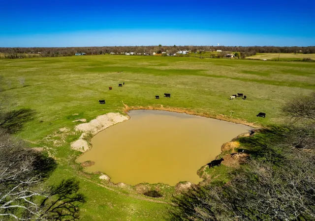 Photo 3 of Land for sale at Tbd Tract B Flag Lake Rd, Kemp, TX 75143 | MLS# 21351023 | Listing updated on 2026-08-06