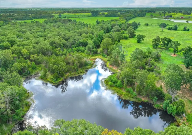 Photo 2 of Land for sale at 80 +/  Acres Private Road 5317, Grand Saline, TX 75140 | MLS# 21351185 | Listing updated on 2026-08-06