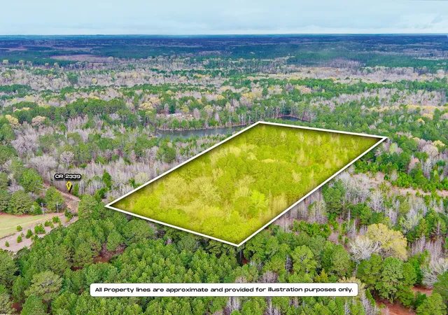 2nd image of Tbd County Road 2339, Marietta, TX 75566 | MLS# 21351350