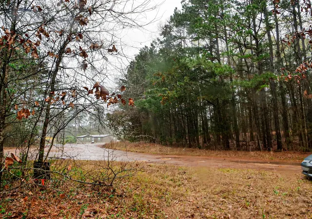 3rd image of Tbd County Road 2339, Marietta, TX 75566 | MLS# 21351350