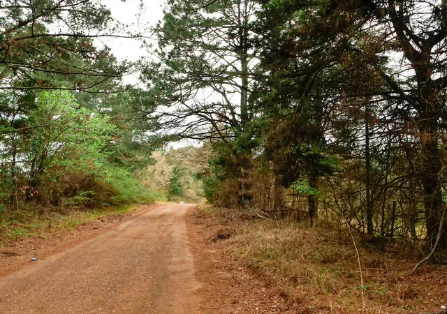 8th image of Tbd County Road 2339, Marietta, TX 75566 | MLS# 21351350
