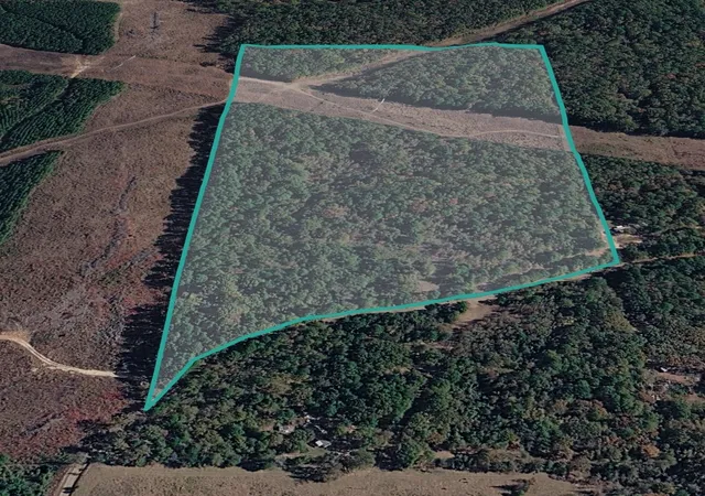 3rd image of Tbd40 Cr 4244, Pittsburg, TX 75686 | MLS# 21351401