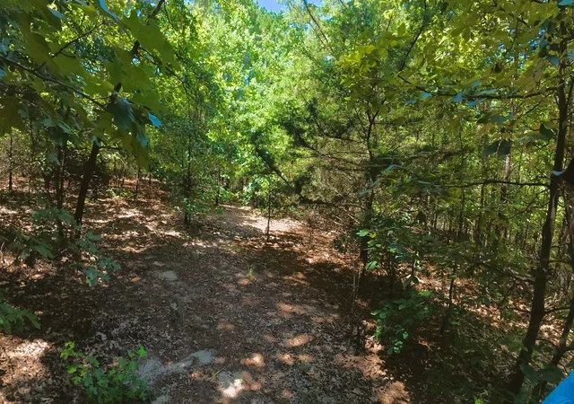 5th image of Tbd40 Cr 4244, Pittsburg, TX 75686 | MLS# 21351401