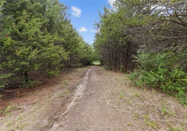 Photo 2 of Single family home for sale at Tbd County Road 3105, Bonham, TX 75418 | MLS# 21351452 | Listing updated on 2026-08-06