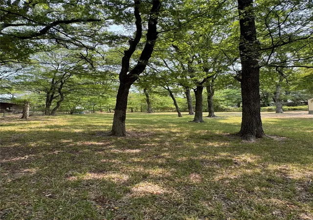 Photo 3 of Land for sale at 228 Whispering Trail, Gun Barrel City, TX 75156 | MLS# 21351384 | Listing updated on 2026-08-20