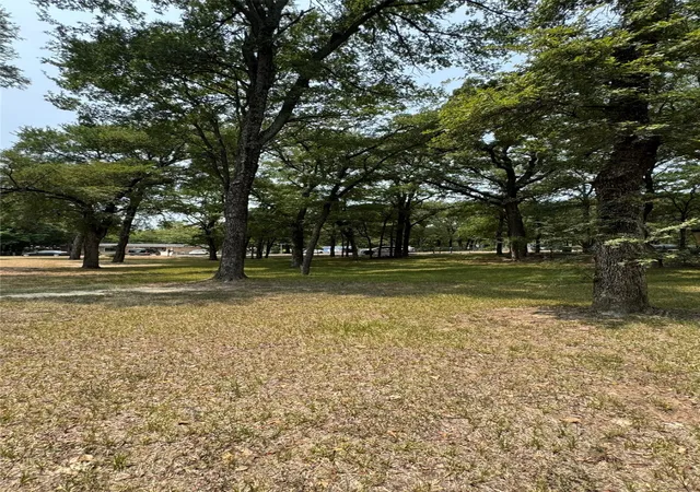Photo 4 of Land for sale at 228 Whispering Trail, Gun Barrel City, TX 75156 | MLS# 21351384 | Listing updated on 2026-08-20