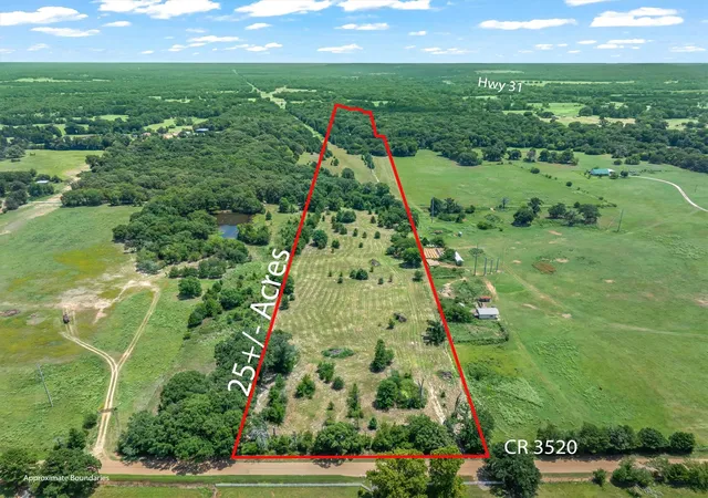Land for sale at 000 County Road 3520, Brownsboro, TX 75756 | MLS# 21351020