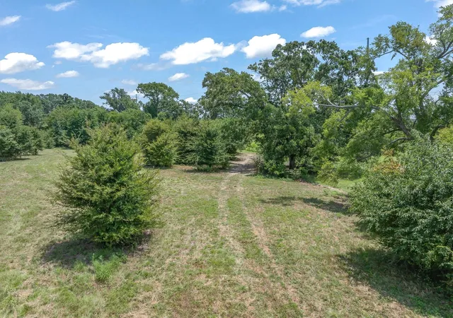 Photo 21 of Land for sale at 000 County Road 3520, Brownsboro, TX 75756 | MLS# 21351020 | Listing updated on 2026-08-06