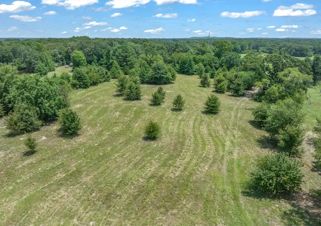 Photo 1 of Land for sale at 000 County Road 3520, Brownsboro, TX 75756 | MLS# 21351020 | Listing updated on 2026-08-06