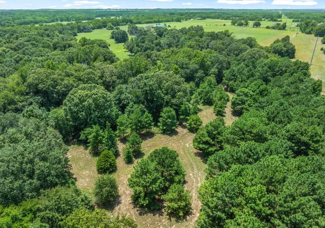 Photo 3 of Land for sale at 000 County Road 3520, Brownsboro, TX 75756 | MLS# 21351020 | Listing updated on 2026-08-06