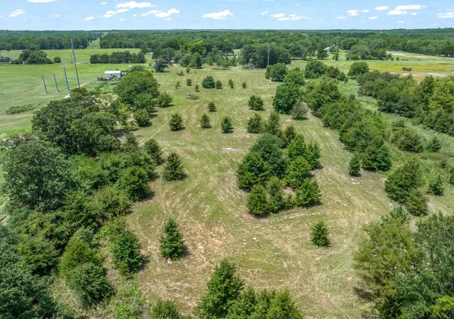 Photo 4 of Land for sale at 000 County Road 3520, Brownsboro, TX 75756 | MLS# 21351020 | Listing updated on 2026-08-06