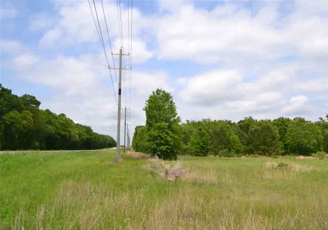 2nd image of Tbd S Hwy 69, Alba, TX 75410 | MLS# 21351645