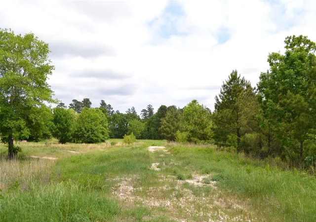 3rd image of Tbd S Hwy 69, Alba, TX 75410 | MLS# 21351645