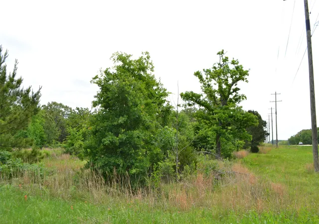 4th image of Tbd S Hwy 69, Alba, TX 75410 | MLS# 21351645