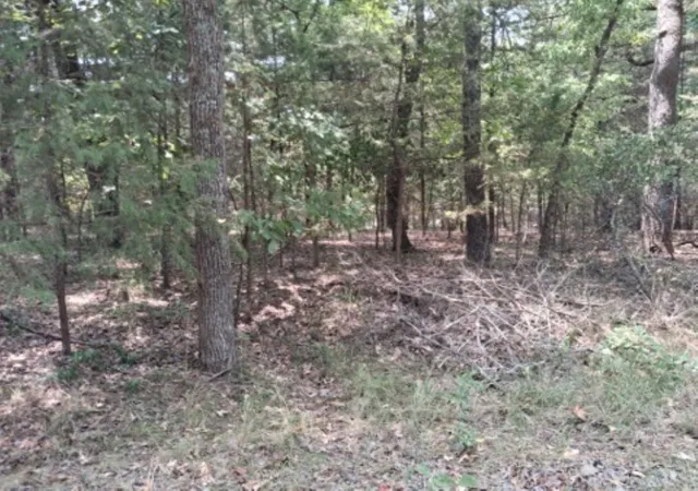 1st image of Tbd Sundown, Murchison, TX 75778 | MLS# 21351558