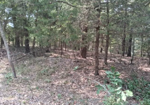 3rd image of Tbd Sundown, Murchison, TX 75778 | MLS# 21351558