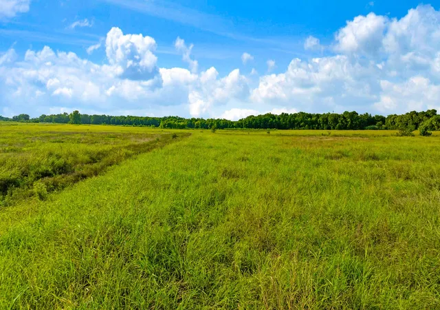 Photo 2 of Land for sale at 0000 County Road 25200, Roxton, TX 75435 | MLS# 21350466 | Listing updated on 2026-08-07