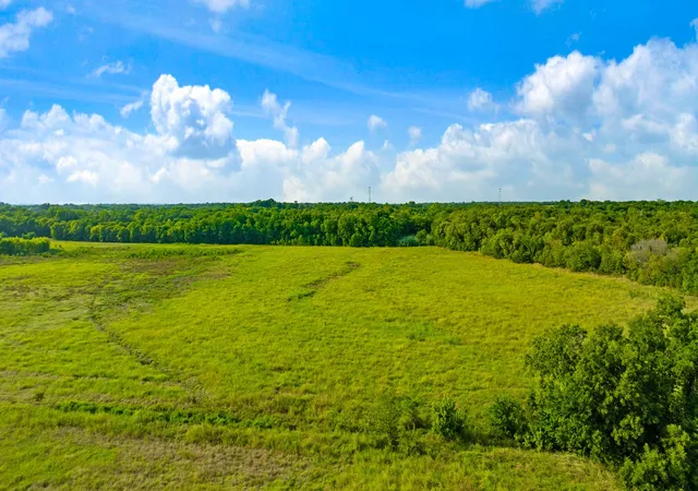 Photo 3 of Land for sale at 0000 County Road 25200, Roxton, TX 75435 | MLS# 21350466 | Listing updated on 2026-08-07