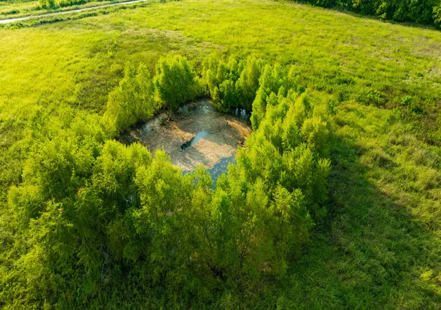 Photo 3 of Land for sale at 0000 County Road 25200, Roxton, TX 75435 | MLS# 21350466 | Listing updated on 2026-08-07