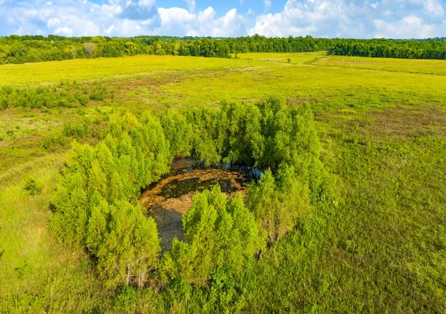 Photo 4 of Land for sale at 0000 County Road 25200, Roxton, TX 75435 | MLS# 21350466 | Listing updated on 2026-08-07