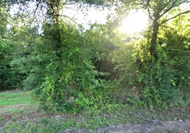 Photo 1 of Land for sale at 0 County Rd 224, Carthage, TX 75633 | MLS# 21352568 | Listing updated on 2026-09-16