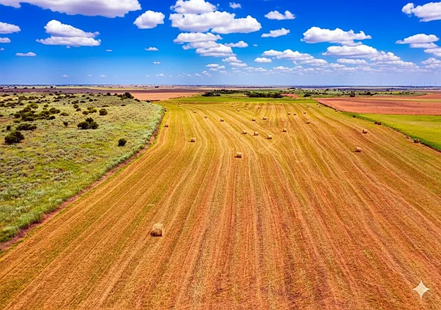 Photo 3 of Land for sale at 10157 N Cr 129, Harrold, TX 76364 | MLS# 21352663 | Listing updated on 2026-08-06