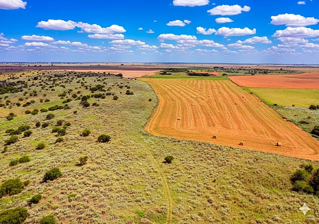 Photo 4 of Land for sale at 10157 N Cr 129, Harrold, TX 76364 | MLS# 21352663 | Listing updated on 2026-08-06