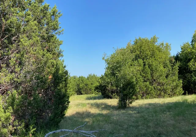 Photo 4 of House for sale at Tbd Hcr 1195 Rd, Blum, TX 76627 | MLS# 21350157 | Listing updated on 2026-08-26