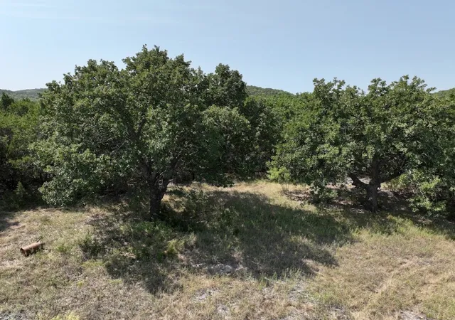 Photo 1 of Land for sale at 1093 Lemons Gap Rd, Tuscola, TX 79562 | MLS# 21353089 | Listing updated on 2026-08-07