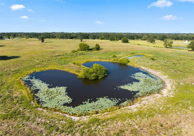 Photo 4 of Land for sale at Tbd Private Road 607, Teague, TX 75860 | MLS# 21353227 | Listing updated on 2026-08-07