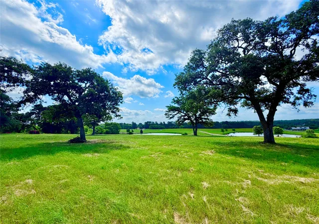Photo 3 of Land for sale at 309 Grandview Dr, Athens, TX 75752 | MLS# 21353302 | Listing updated on 2026-08-13