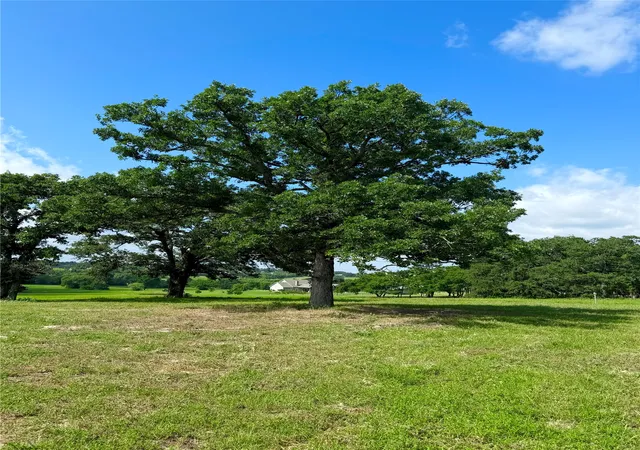 Photo 4 of Land for sale at 309 Grandview Dr, Athens, TX 75752 | MLS# 21353302 | Listing updated on 2026-08-13