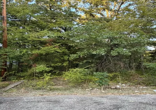 Photo 1 of Land for sale at 132 Chapperall Dr, Mabank, TX 75156 | MLS# 21353679 | Listing updated on 2026-09-30