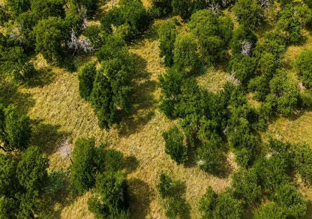 Photo 3 of Land for sale at 274 Ridgeline Dr, Chico, TX 76431 | MLS# 21353933 | Listing updated on 2026-08-08