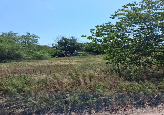 Photo 4 of Land for sale at 1900 S Frio St, Coleman, TX 76834 | MLS# 21354032 | Listing updated on 2026-08-07