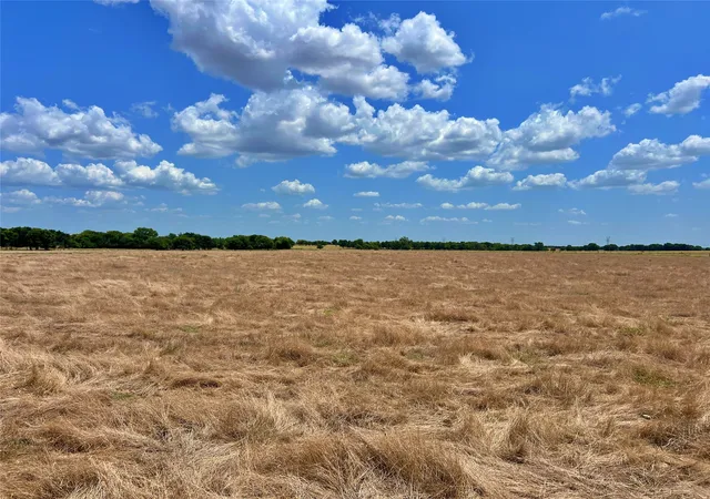 Photo 3 of Land for sale at 0000 Fm 51, Era, TX 76238 | MLS# 21354043 | Listing updated on 2026-08-07