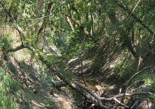 Photo 4 of Land for sale at 4930 Cr-4509, Commerce, TX 75428 | MLS# 21354141 | Listing updated on 2026-08-07