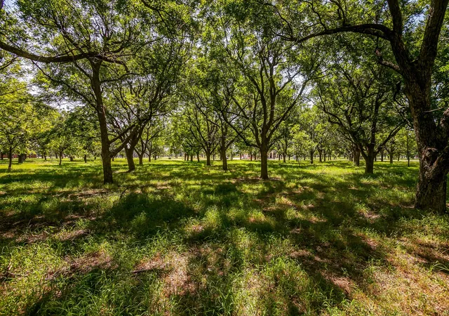 Photo 2 of Land for sale at 2525 Buckskin Dr, Granbury, TX 76049 | MLS# 21354480 | Listing updated on 2026-08-08
