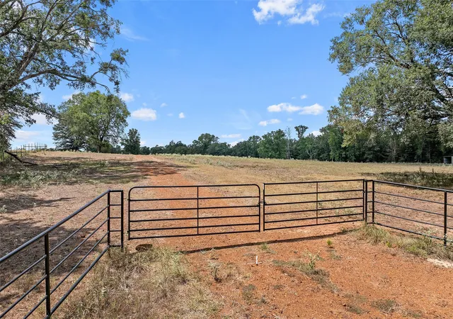 Photo 1 of Land for sale at 459 County Road 3303, Omaha, TX 75571 | MLS# 21354528 | Listing updated on 2026-09-15
