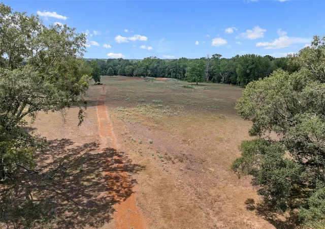 Photo 3 of Land for sale at 459 County Road 3303, Omaha, TX 75571 | MLS# 21354528 | Listing updated on 2026-09-15