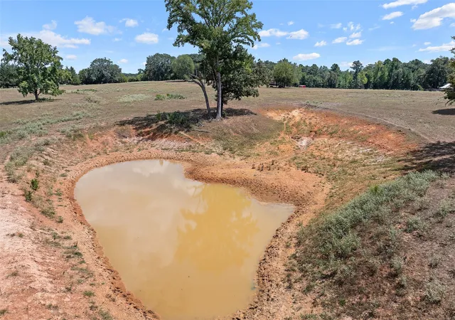 Photo 4 of Land for sale at 459 County Road 3303, Omaha, TX 75571 | MLS# 21354528 | Listing updated on 2026-09-15