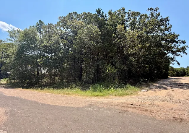 Photo 2 of Sale Pending at Lot 144 Chisolm Trl, Mabank, TX 75156 | MLS# 21354578 | Listing updated on 2026-10-02
